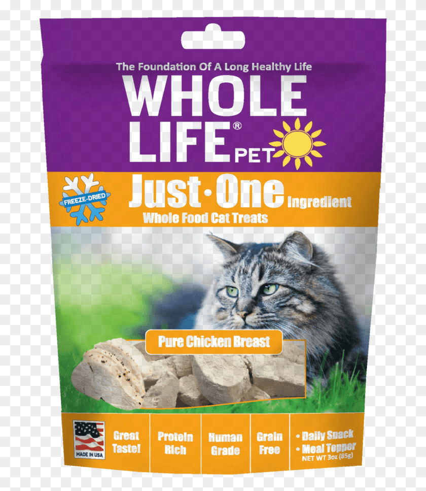 699x907 Whole Life Cat Treats, Poster, Advertisement, Flyer HD PNG Download