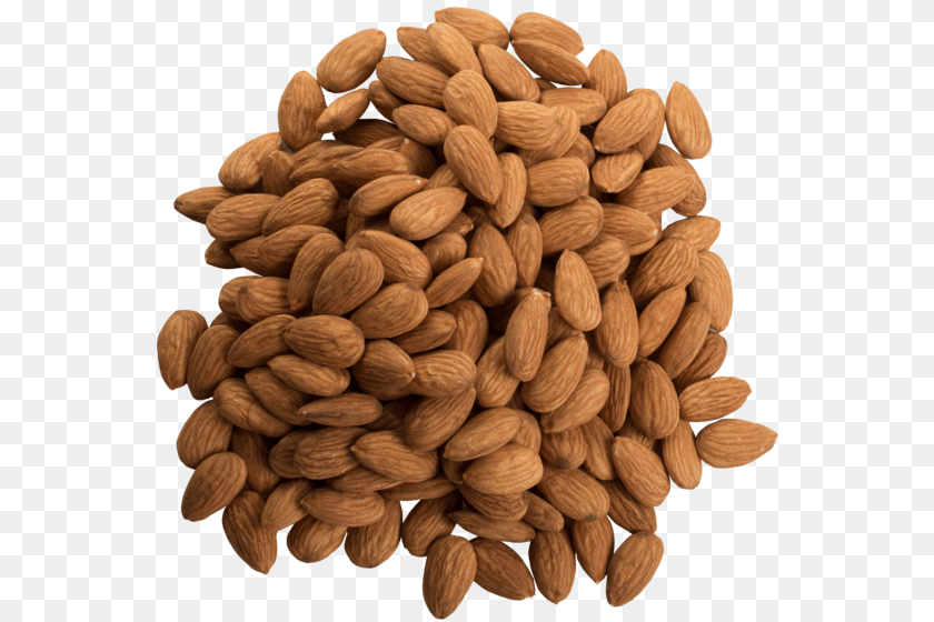 Whole Raw Almonds, Almond, Food, Grain, Plant Sticker PNG