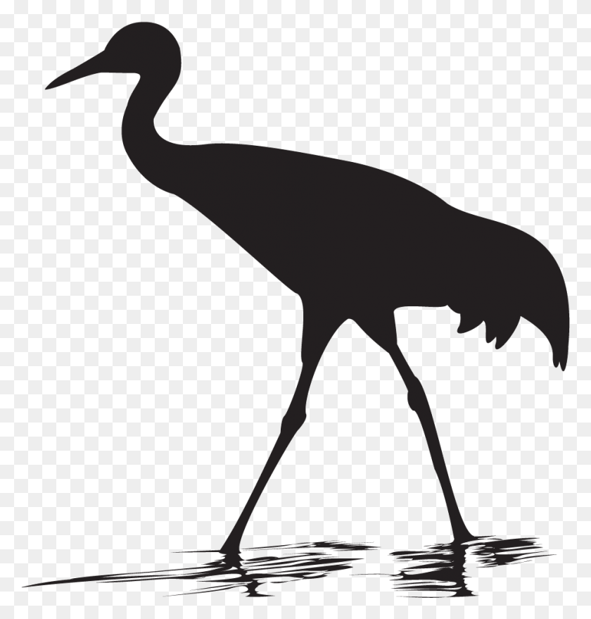 947x995 Whooping Crane Overview Whooping Crane Silhouette, Crane Bird, Bird, Animal Descargar Hd Png