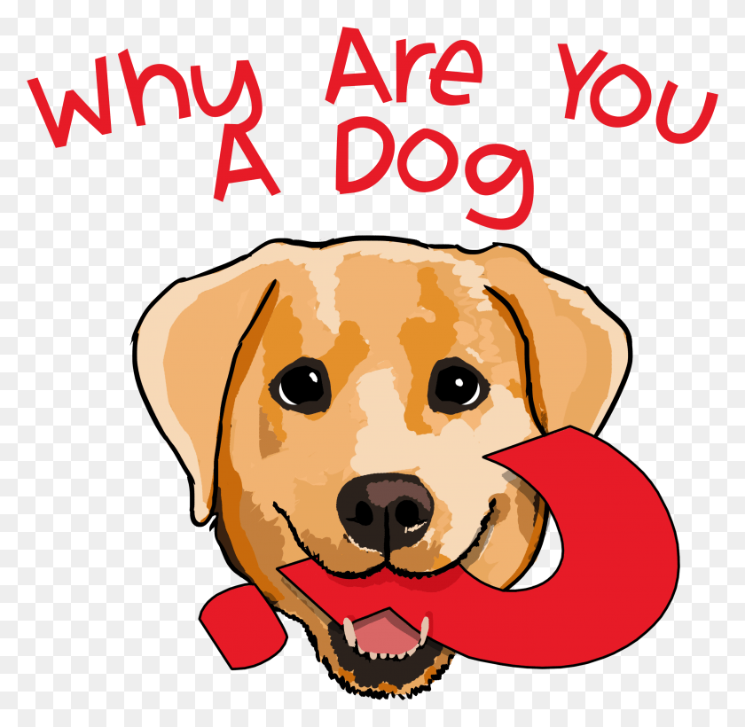 2792x2723 Why Are You A Dog On Apple Podcasts You A Dog, Pet, Animal, Canine HD PNG Download