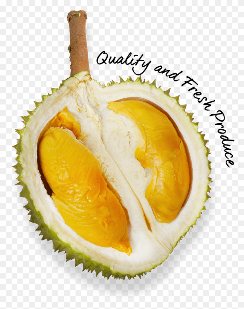 787x1015 Why Choose The Durian Story Maharaj Vinayak Global University Jaipur Logo Pdf, Plant, Produce, Food HD PNG Download