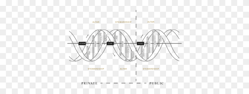 393x259 Why Dna Calligraphy, Text, Architecture, Building HD PNG Download
