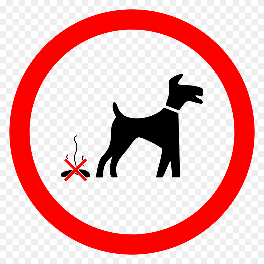 1920x1920 Why Does My German Shepherd Eat His Or Her Poop 7 Reasons No Poop Dog, Symbol, Road Sign, Sign HD PNG Download