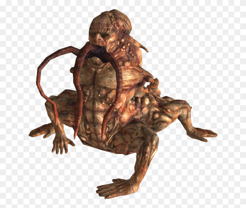647x652 Why Its An Evolved Centaur From Fallout New Vegas Fallout Centaur, Toad, Amphibian, Wildlife HD PNG Download