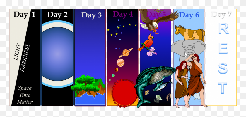 1200x527 Why Six Days Whale Clip Art, Bird, Animal, Person HD PNG Download