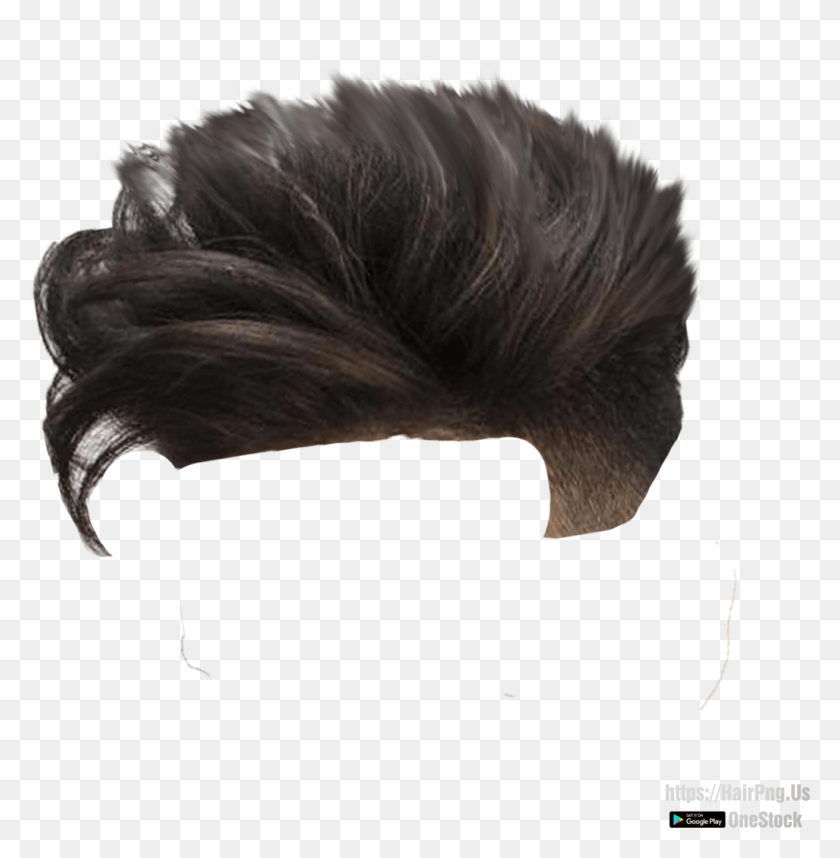 1027x1051 Wig Images In Collection, Hair, Fur HD PNG Download