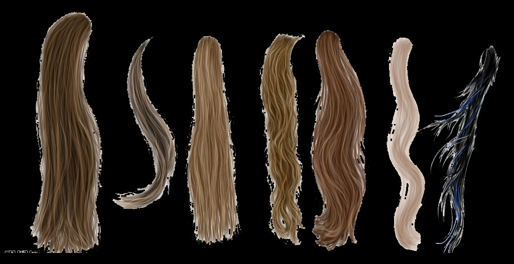 1024x526 Wig Images Wood, Hair, Bronze, Invertebrate HD PNG Download