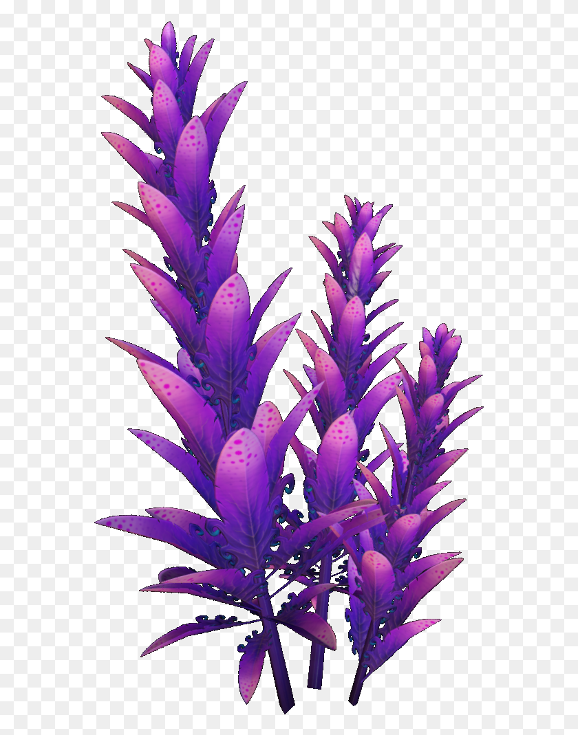 567x1009 Wiki Fandom Powered By Wikia Violet Beau Subnautica Plants, Plant, Flower, Blossom HD PNG Download