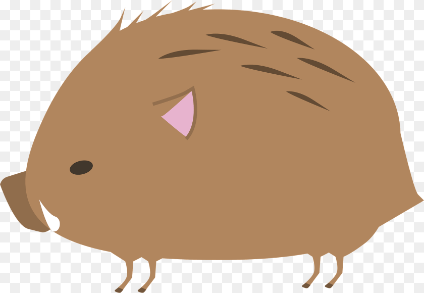 1920x1325 Wild Boar Clipart, Animal, Mammal, Rodent, Fish PNG