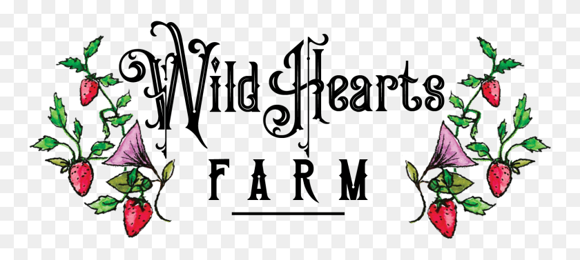 1583x645 Wild Hearts Farm, Gray, World Of Warcraft HD PNG Download