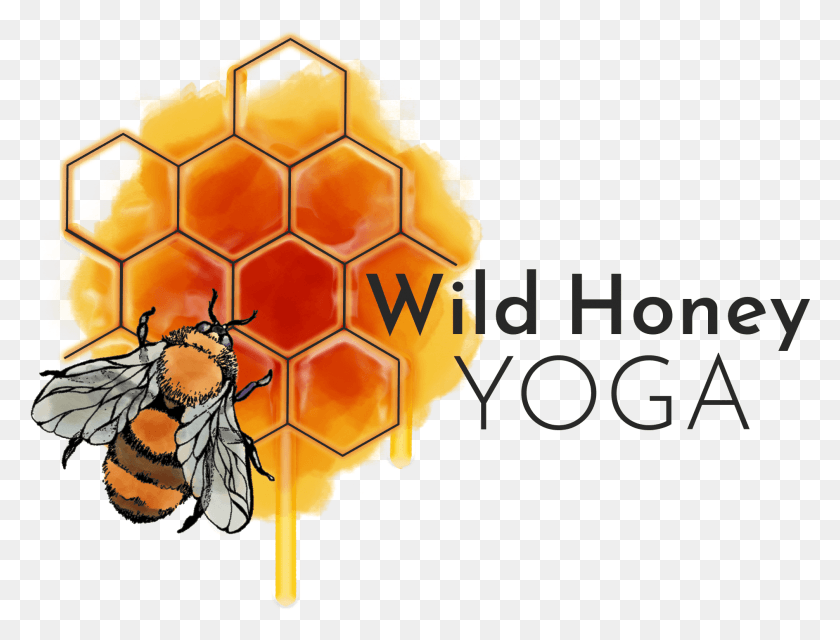 1889x1406 Wild Honey Yoga, Honeycomb, Food, Honey Bee HD PNG Download
