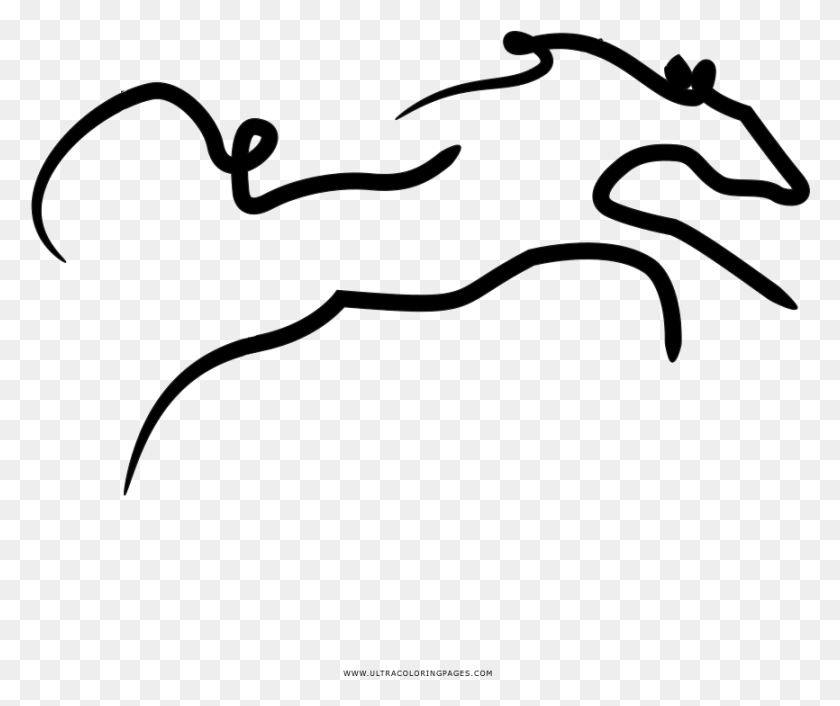 866x718 Раскраска Дикая Лошадь, Текст, На Открытом Воздухе, Кошка Hd Png Скачать