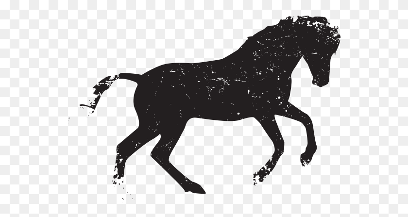 562x387 Дикая Лошадь Лошадь Вектор Бесплатно, Жеребенок, Млекопитающее, Животное Hd Png Скачать