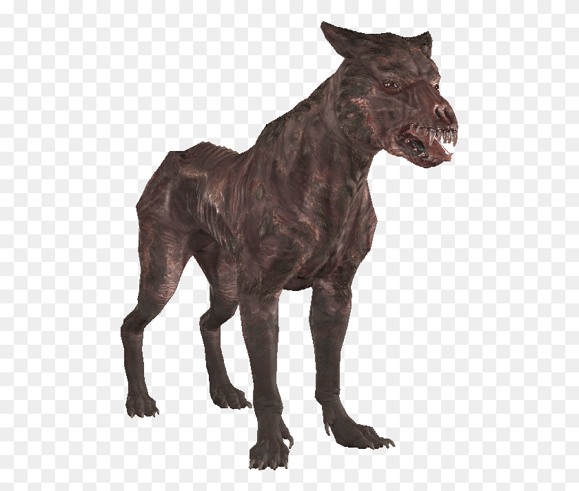491x652 Png Дикая Беспородная Собака, Животное, Лошадь, Млекопитающее Hd Png Скачать