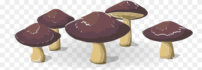 1920x667 Wild Mushrooms Fungus, Plant, Mushroom, Agaric Clipart PNG