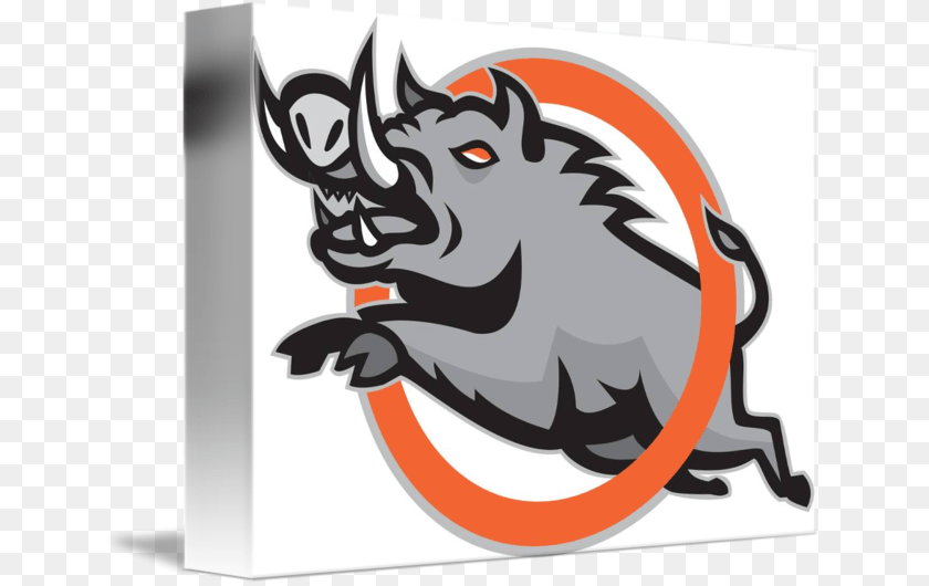 Wild Pig Jumping Circle Wild Boar, Electronics, Hardware, Baby, Person Transparent PNG