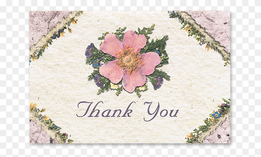 666x447 Wild Rose Thank You Cards Thank You Roses, Floral Design, Pattern, Graphics HD PNG Download