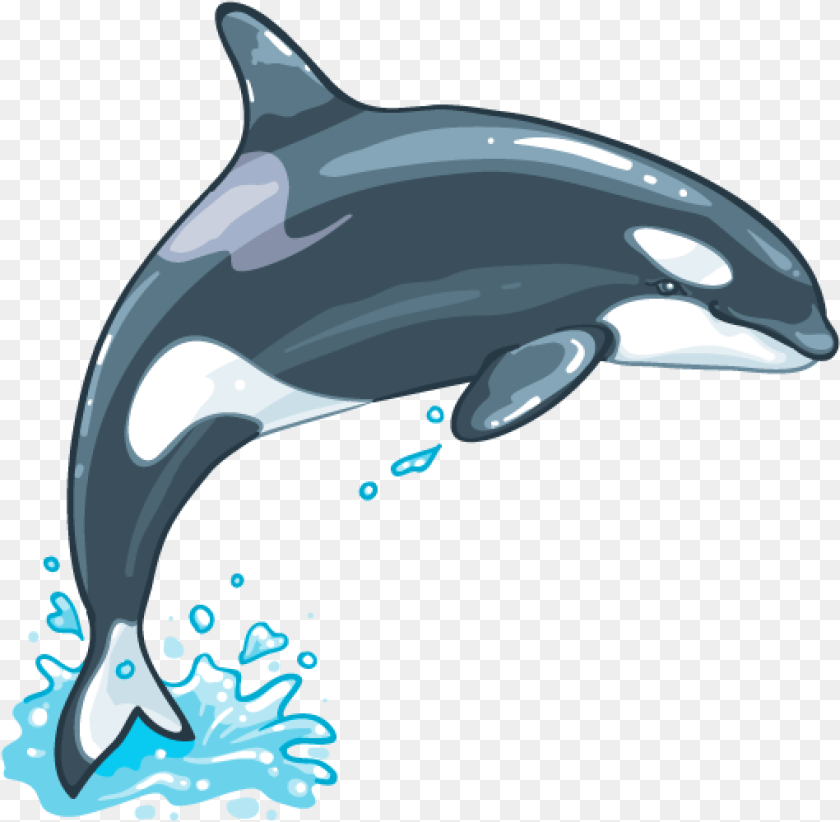 1021x999 Wild Sea Creature Whale Transparent Whale, Animal, Dolphin, Mammal, Sea Life Clipart PNG