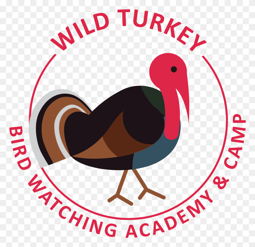 2010x1946 Wild Turkey Clicks And Bricks, Animal, Bird, Turkey Bird HD PNG Download