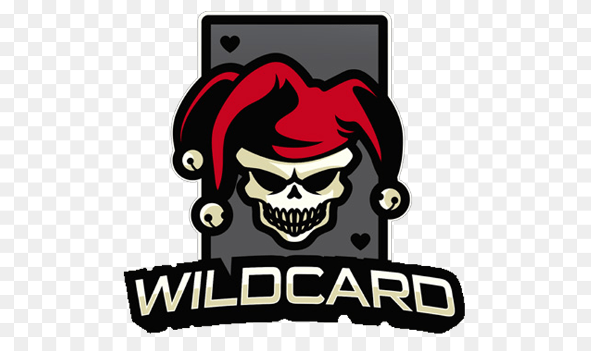 500x500 Wildcard Gaminglogo Square, Person, Pirate, Face, Head Sticker PNG