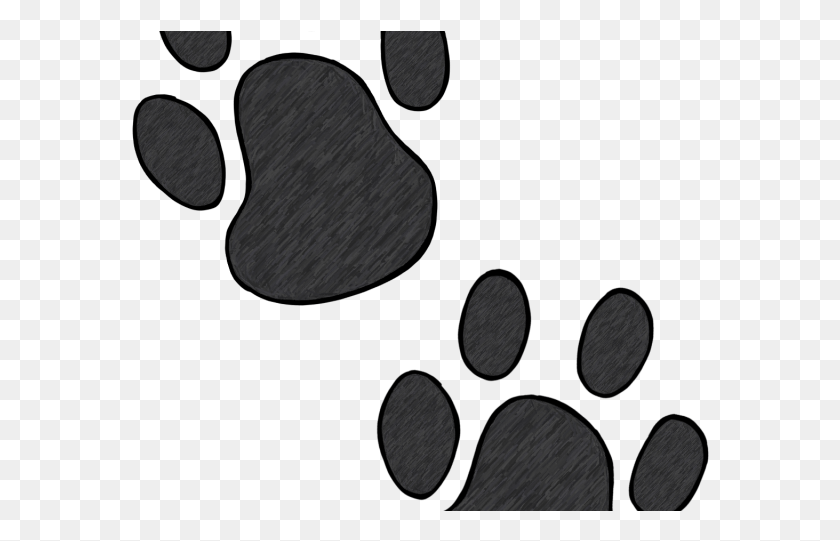 578x481 Wildcat Clipart Bear Claw Grey Paw Prints Transparent, Texture HD PNG Download
