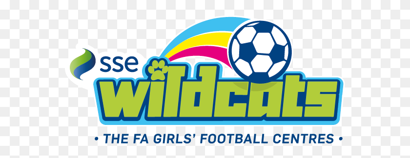 575x265 Wildcats Graphic Design, Soccer Ball, Ball, Team Sport HD PNG Download
