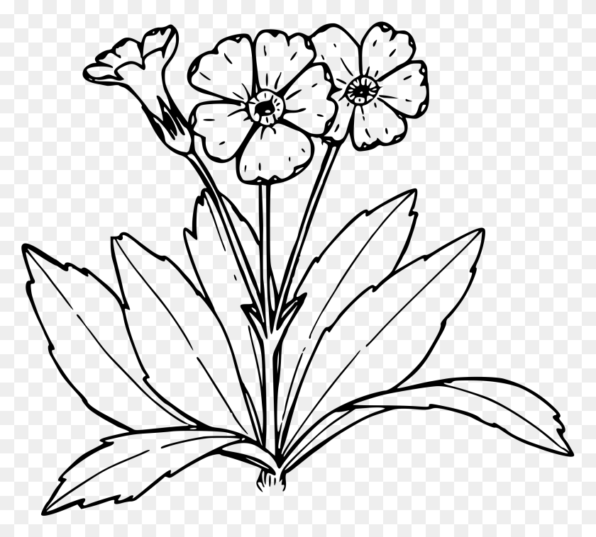 2400x2148 Wildflower Clipart Black And White Primrose Clipart Black And White, Gray, World Of Warcraft HD PNG Download