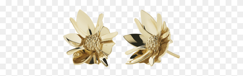 406x203 Wildflower Earrings Small Artificial Flower, Plant, Blossom, Anther HD PNG Download