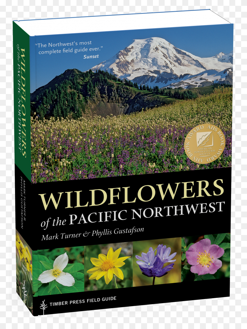 1883x2561 Wildflowers Of The Pacific Northwest HD PNG Download