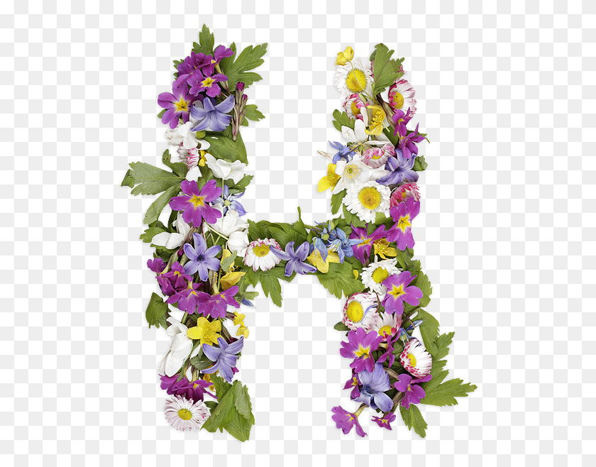 510x598 Wildflowers Poster2 Letter I With Flowers, Plant, Ornament, Flower HD PNG Download