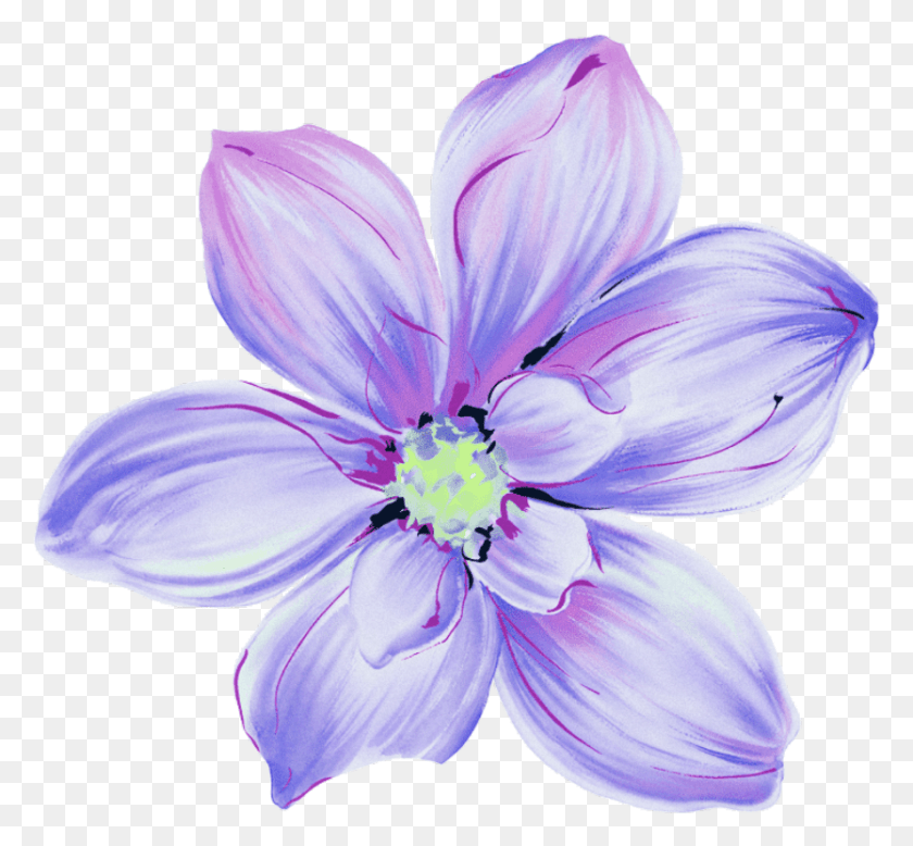 833x767 Стикер Полевые Цветы, Герань, Цветок, Растение Hd Png Скачать