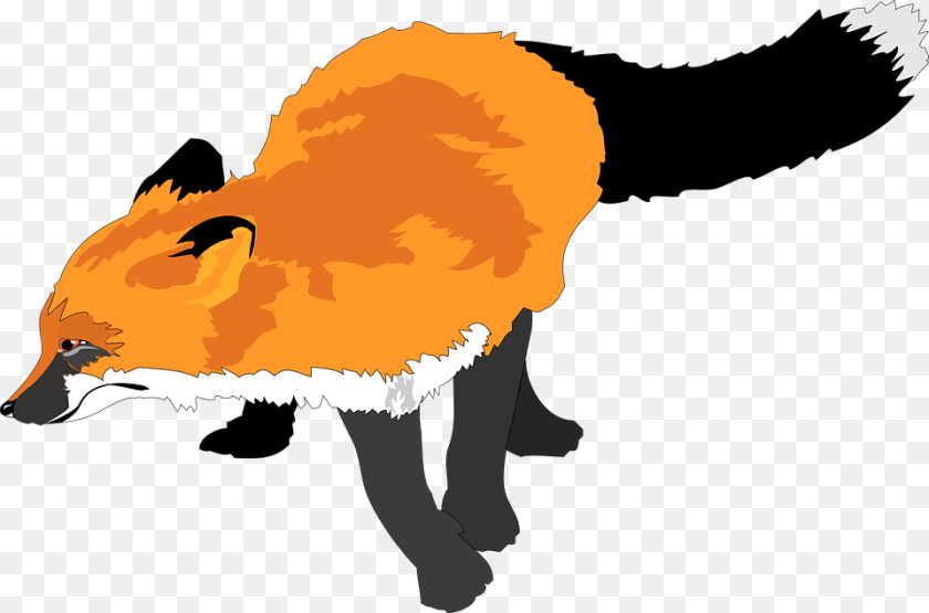 960x634 Wildlife Clipart Fox, Baby, Person, Animal, Red Fox PNG