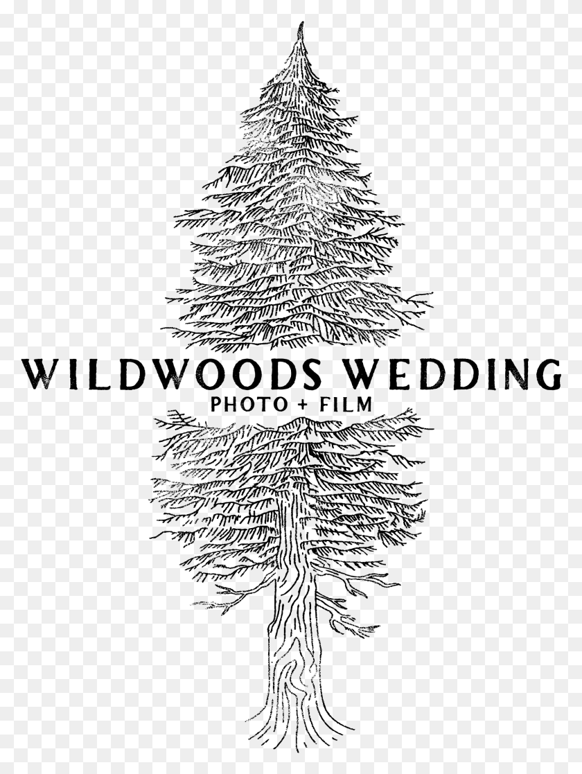 1612x2186 Wildswoods Wedding Photo Film Illustration, Grey, World Of Warcraft Hd Png Download