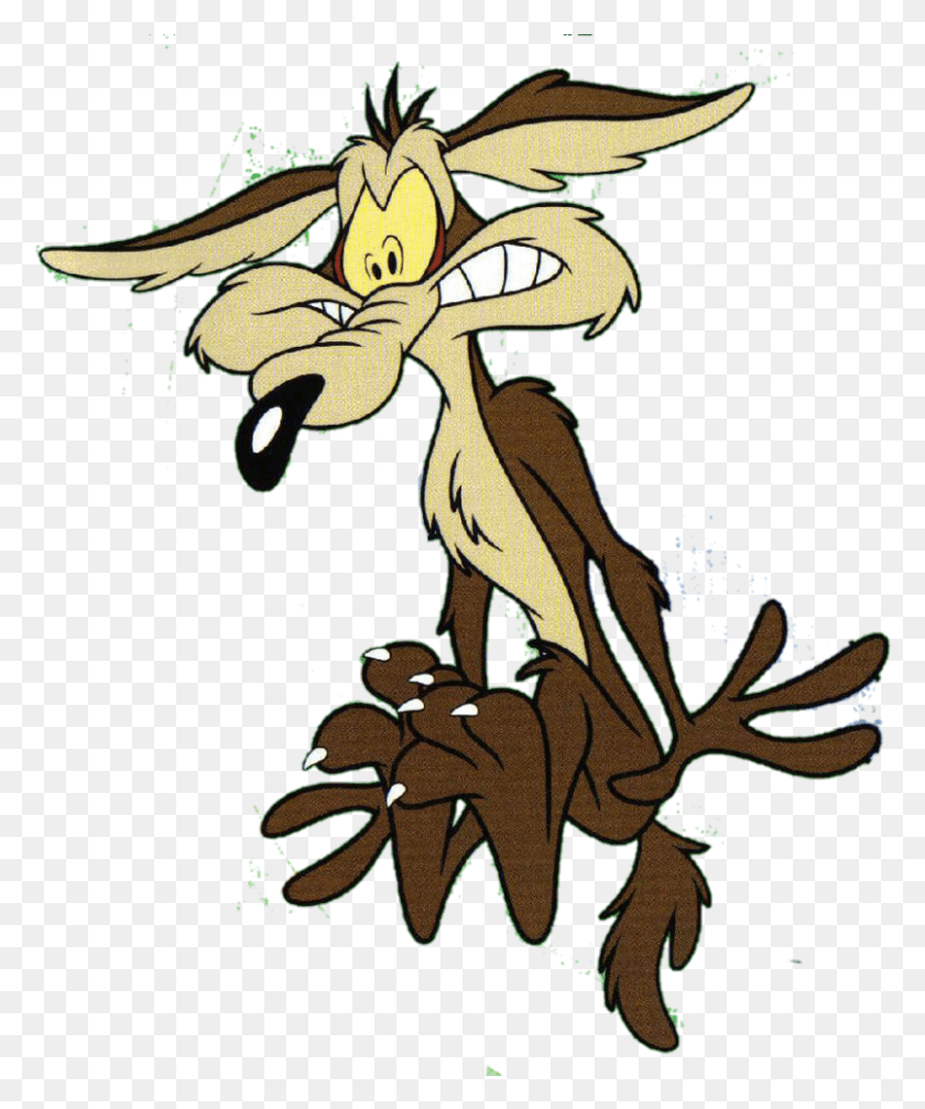 804x977 Wile E Coyote, Plant, Animal HD PNG Download