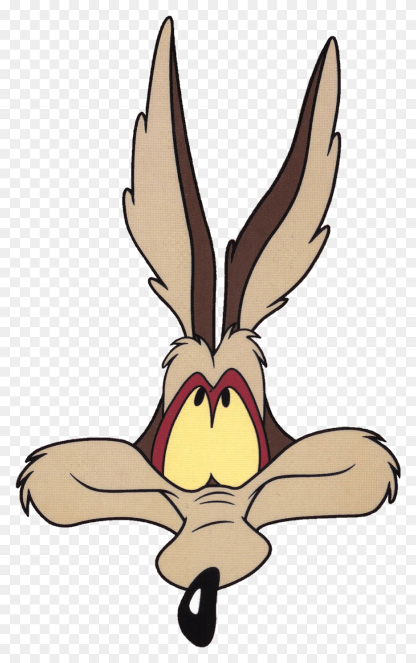 875x1434 Wileecoyote Sticker Wile E Coyote Head, Mammal, Animal, Wildlife HD PNG Download
