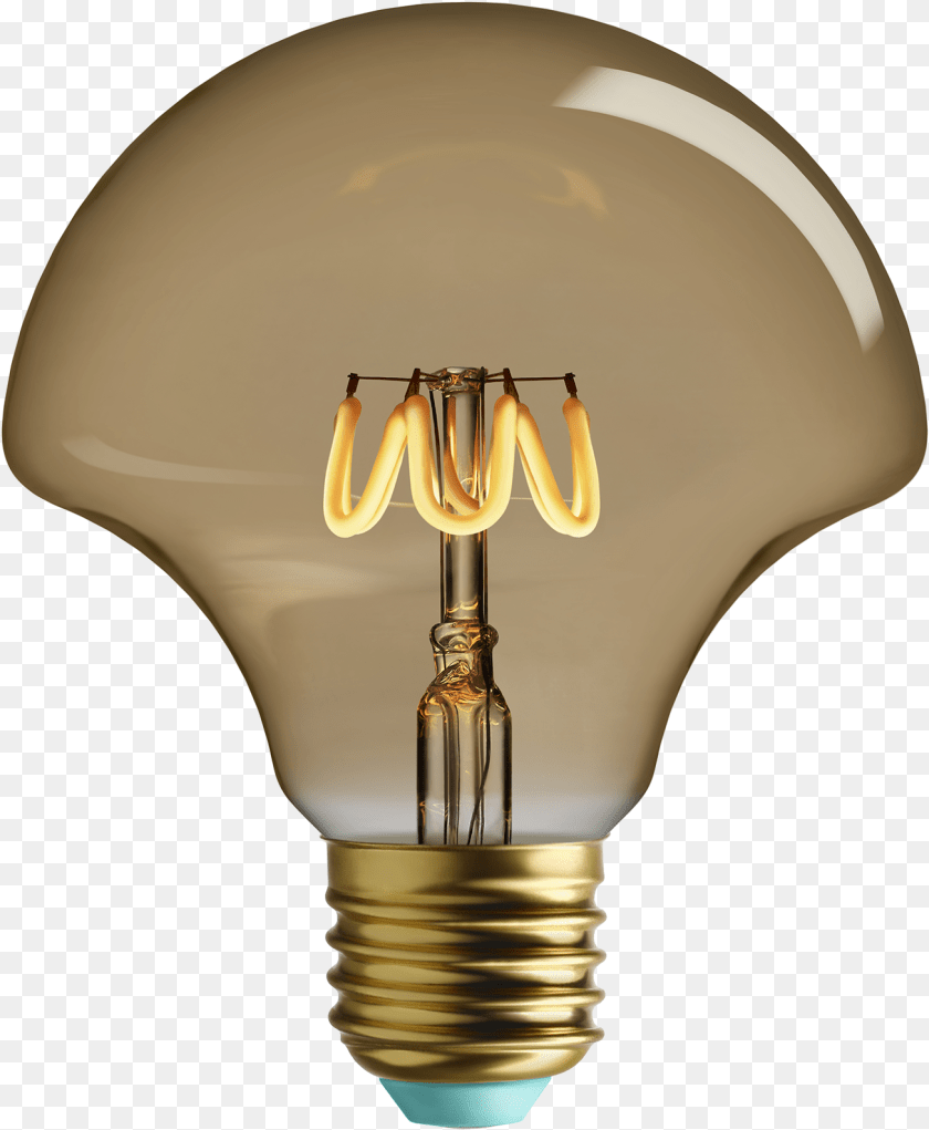 1306x1587 Wilma Plumen, Light, Lightbulb Transparent PNG