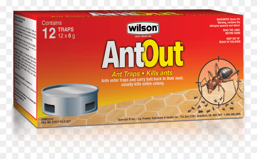 1970x1164 Wilson Antout Ant Traps Pack Of Wilson Ant Trap, Honey Bee, Bee, Insect HD PNG Download