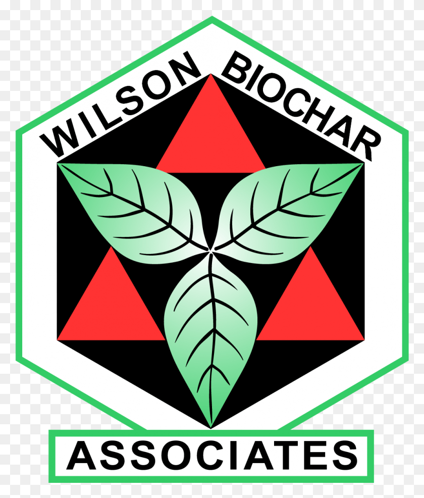 996x1183 Wilson Biochar Associates Треугольник, Символ, Лист, Растение Hd Png Скачать
