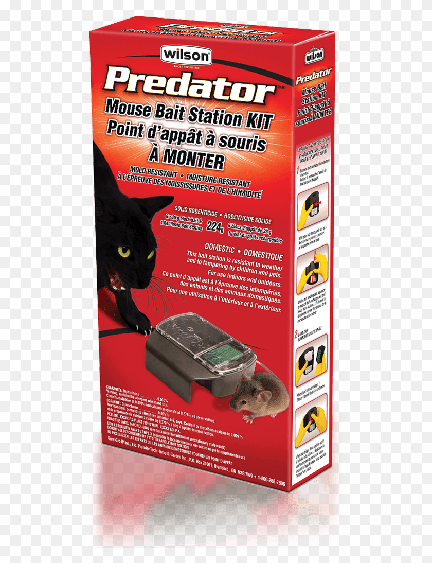 505x1034 Wilson Mouse Traps Amp Bait 7740050 Predator Rat Black Cat, Pet, Animal, Poster HD PNG Download