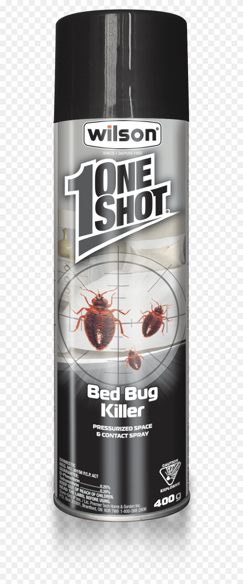 536x1955 Wilson Oneshot Bed Bug Killer Arachnicide, Insect, Invertebrate, Animal HD PNG Download