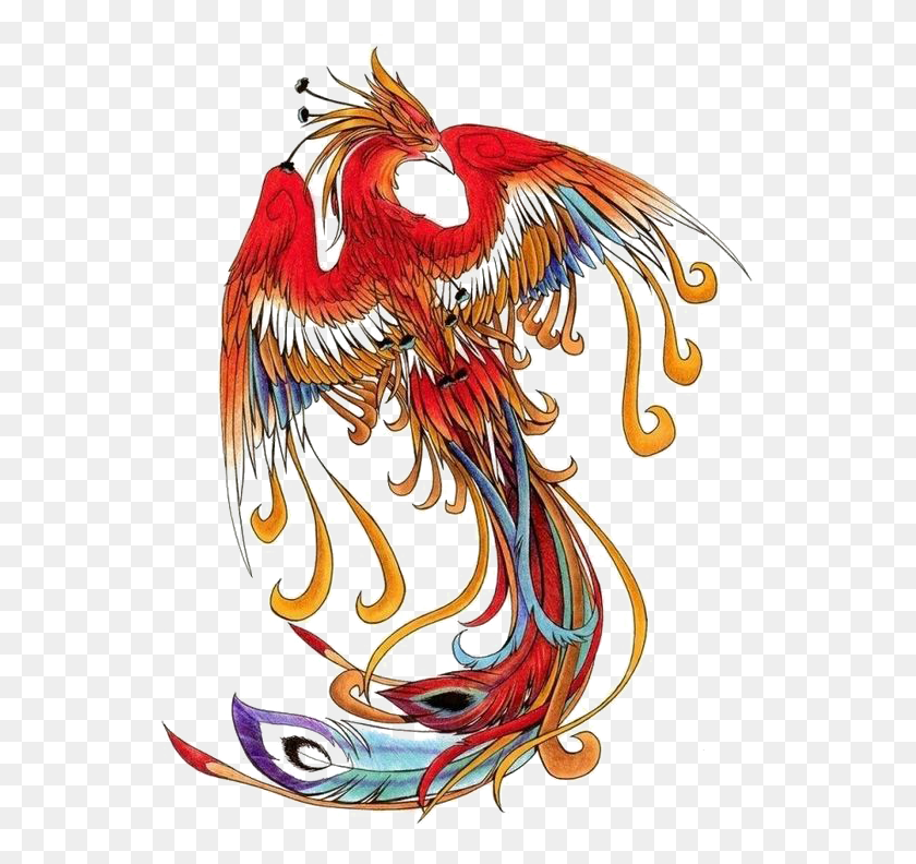 557x732 Wind Chinese Simurgh Phoenix Free Photo Clipart Fenghuang Bird, Graphics, Pattern HD PNG Download