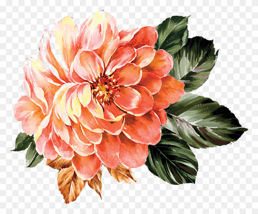 851x697 Window Box Protea, Dahlia, Flower, Plant HD PNG Download