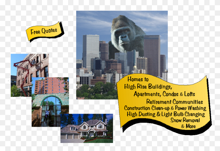 783x520 Window Cleaning Denver Colorado Homes To High Rise Commercial Building, Statue, Sculpture HD PNG Download