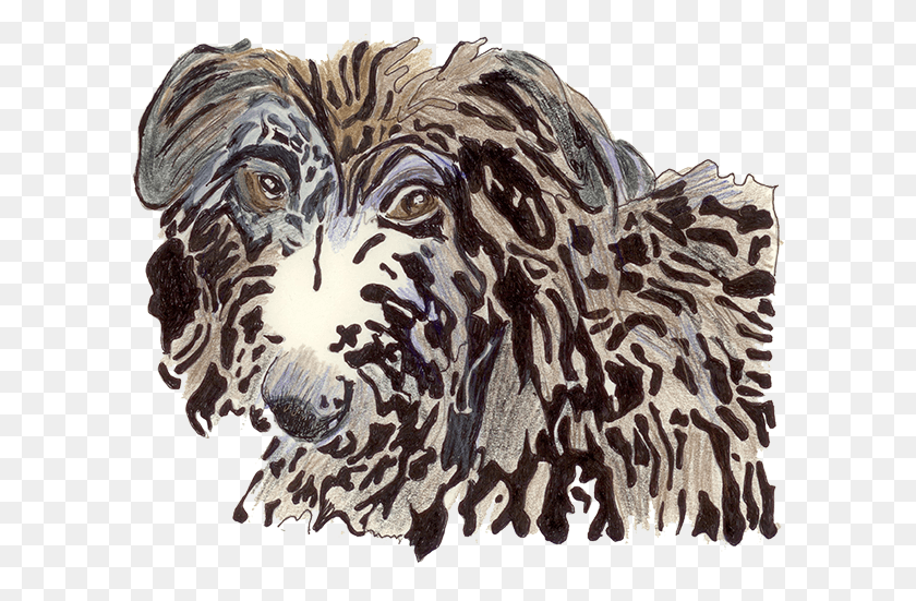 599x491 Windword Ancient Dog Breeds, Doodle HD PNG Download