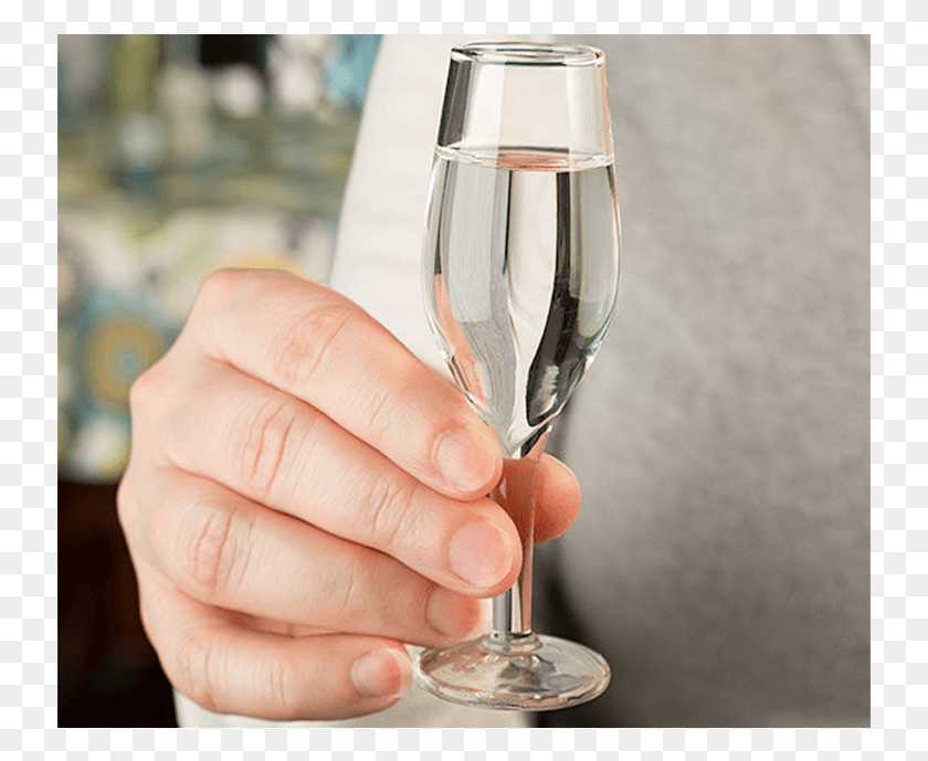 737x629 Wine Glass Shot Glasses Champagne Stemware, Glass, Goblet, Person HD PNG Download