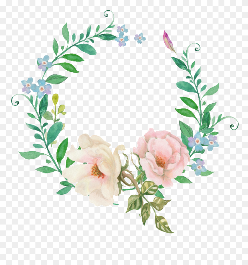 784x842 Wine White Wreath Transparent Decorative Watercolor Painting, Plant, Flower, Blossom HD PNG Download