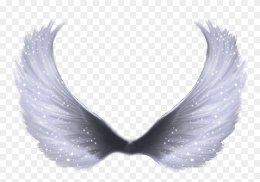 968x658 Wing Clip Art Anime Angel Wings, Bird, Animal, Angel HD PNG Download