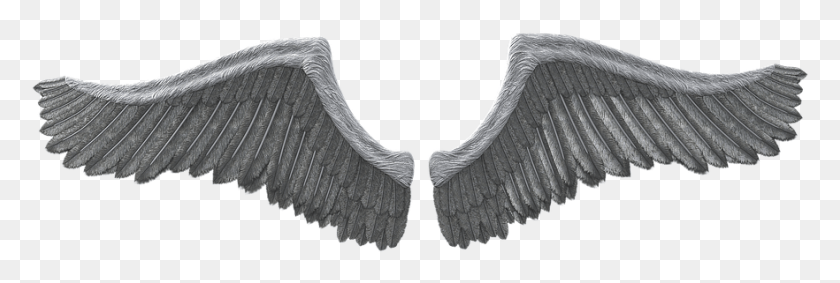 882x253 Wing Feather Angel Fee Elf Fairy Fairy, Archangel, Bird HD PNG Download