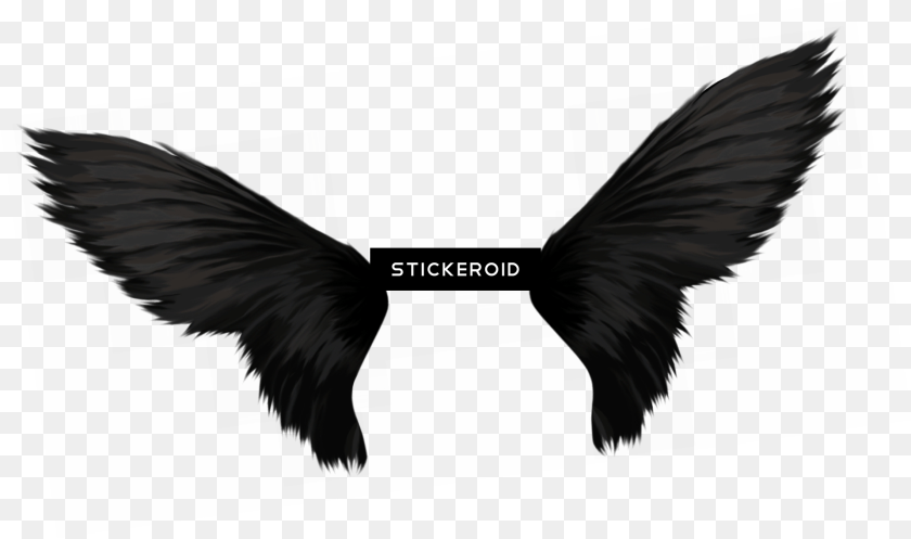 1920x1137 Wings, Animal, Bird, Blackbird, Flying Clipart PNG