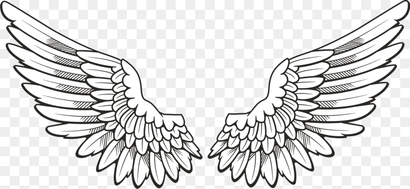 Wings, Emblem, Symbol Clipart PNG